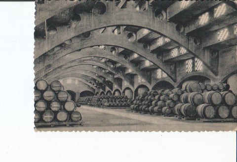 Postal-Postcard 17500: CASA CODORNIU - Bodega de caves CODORNIU