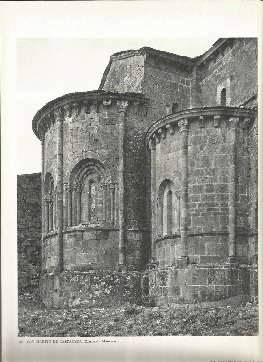 Lamina 0094: SAN MARTIN DE CASTAÑEDA (Zamora). Monasterio