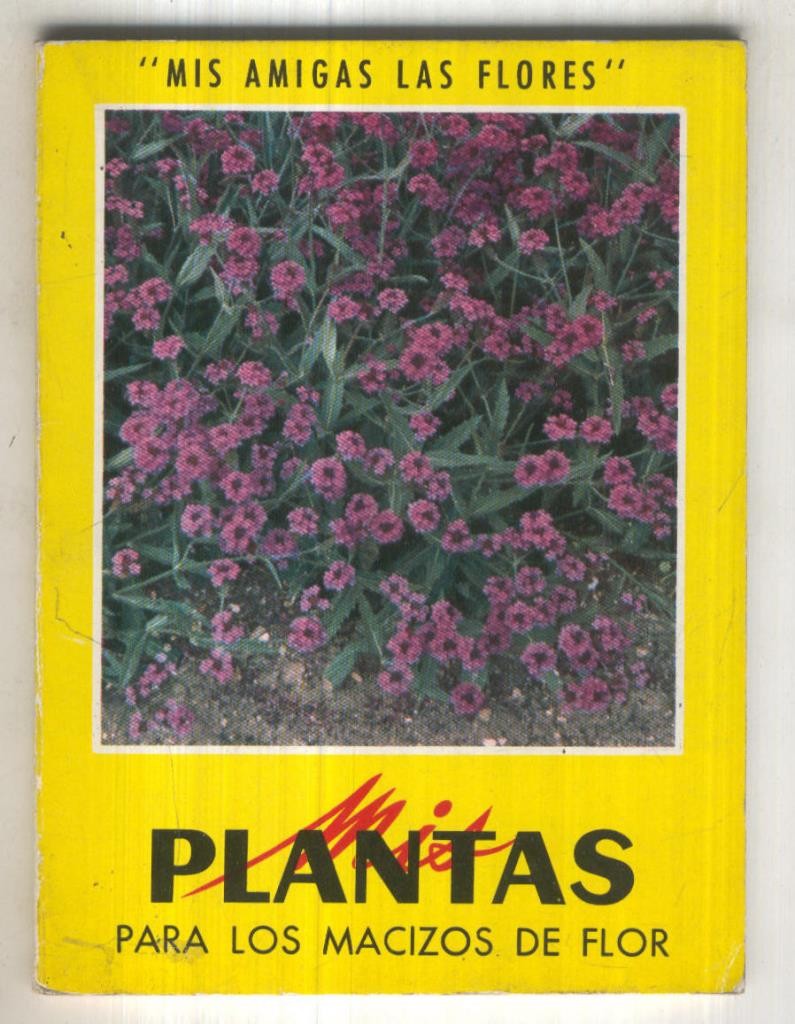 Mis plantas Para los macizos de flor y para flor cortada