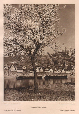 Lamina/Foto KURT HIELSCHE Deuschtland No. 059: HIRSCHHORN ON THE NECKAR