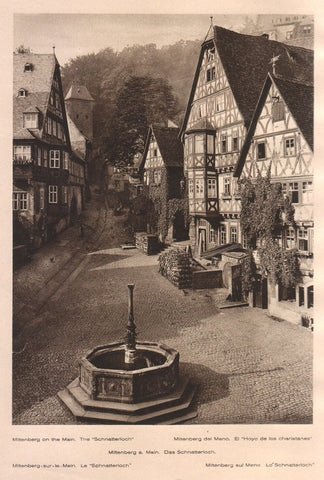 Lamina/Foto KURT HIELSCHE Deuschtland No. 073: MILTENBERG ON THE MAIN. THE SCHNATTERLOCH