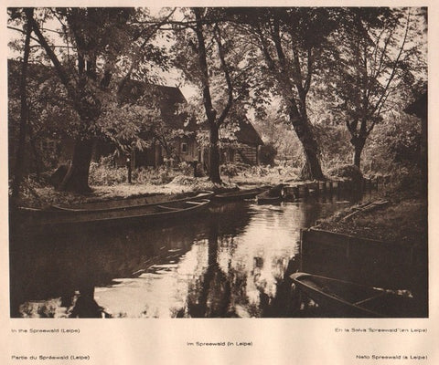 Lamina/Foto KURT HIELSCHE Deuschtland No. 116: IN THE SPREEWALD (LEIPE)