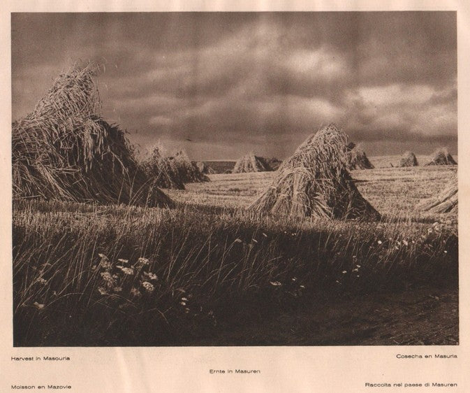 Lamina/Foto KURT HIELSCHE Deuschtland No. 152: HARVEST IN MASOURIA. 