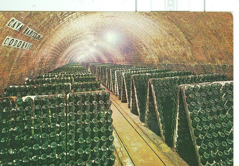 Postal 006315 : Cava Cordorniu, botella en pupitre
