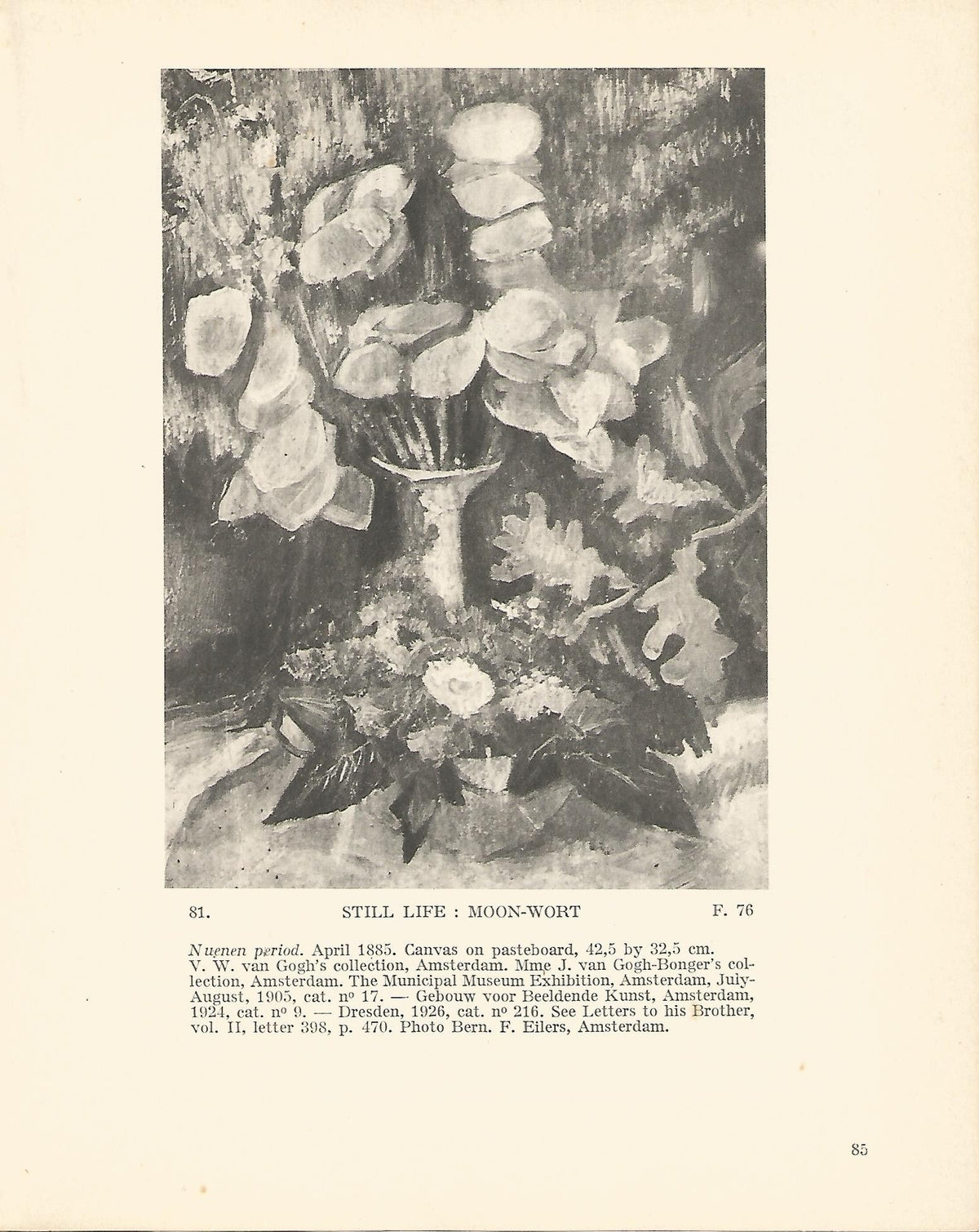 LAMINA 1228: VAN GOGH. Still Life: Moon-Wort
