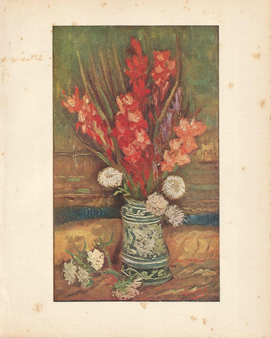 LAMINA 1302: VAN GOGH. Gladioli