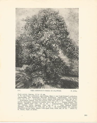 LAMINA 1323: VAN GOGH. The chestnut-tree in flower