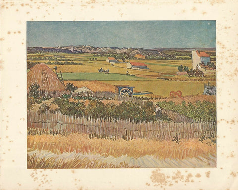 LAMINA 1371: VAN GOGH. Market-Gardens