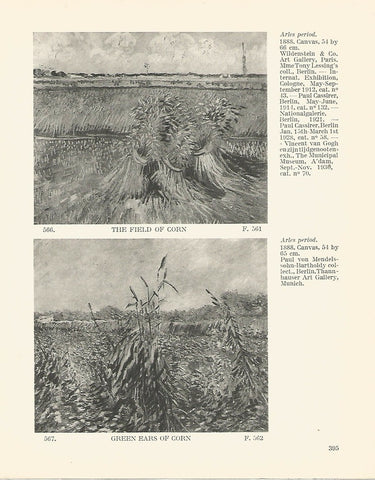 LAMINA 1395: VAN GOGH. The Field of Corn. Green Ears of Corn