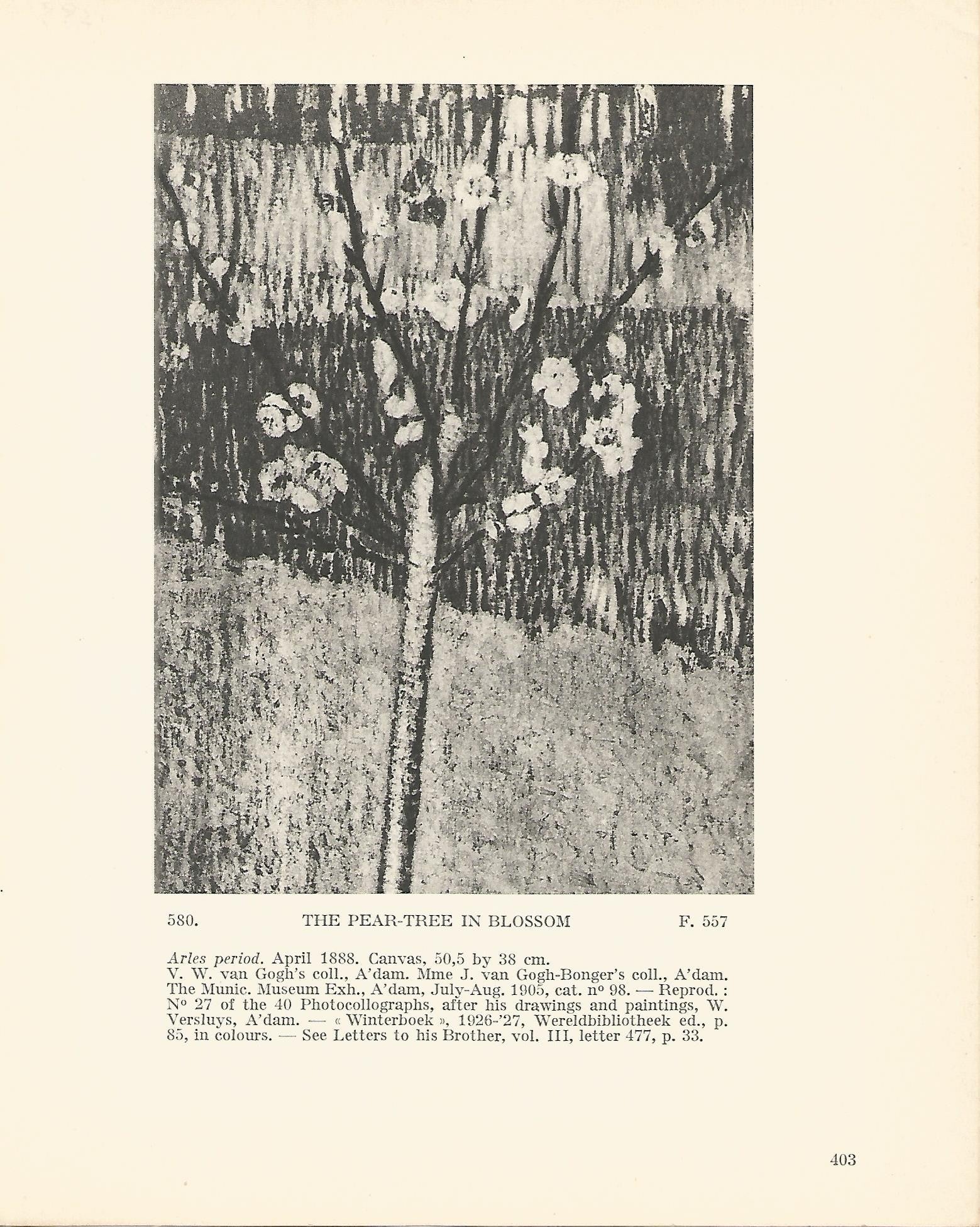 LAMINA 1399: VAN GOGH. The Pear-Tree in Blossom