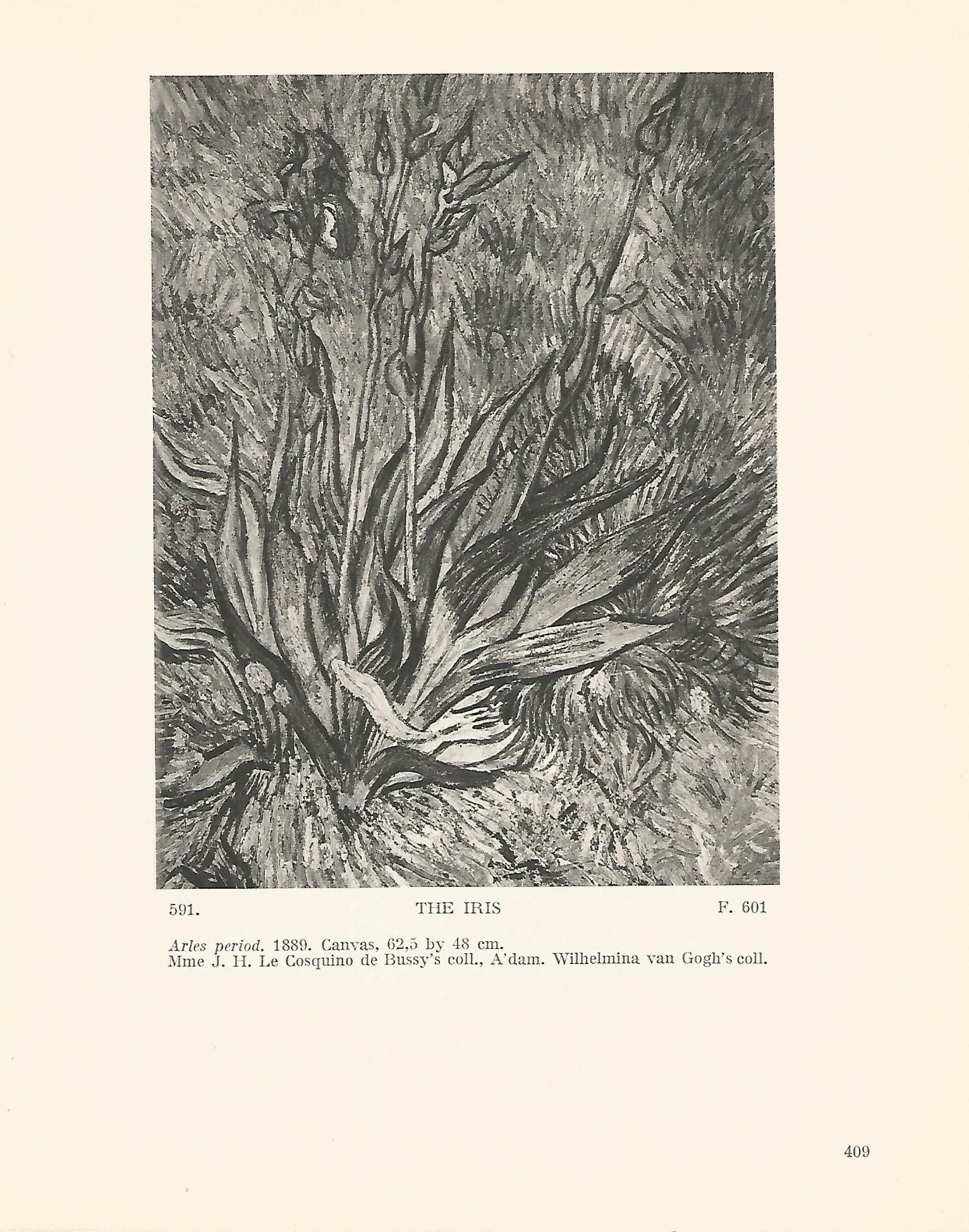 LAMINA 1402: VAN GOGH. The Iris