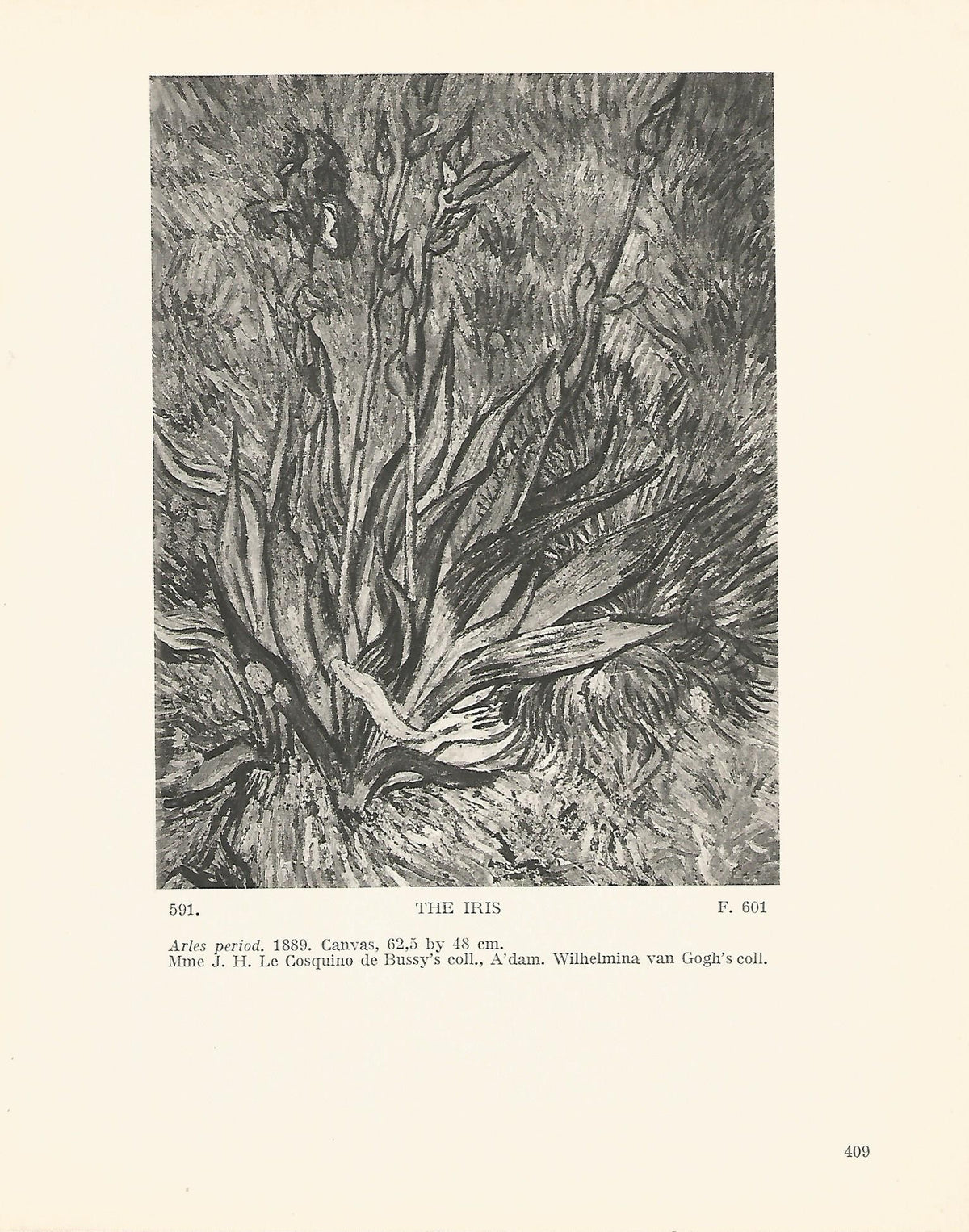 LAMINA 1402: VAN GOGH. The Iris
