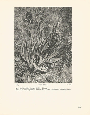 LAMINA 1402: VAN GOGH. The Iris