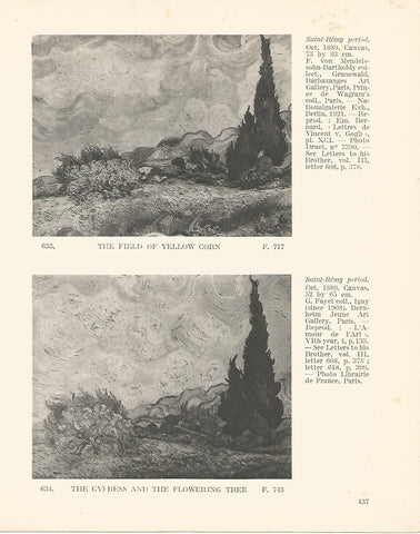 LAMINA 1418: VAN GOGH. The Field of yellow corn. The Cypress and the flowering tree
