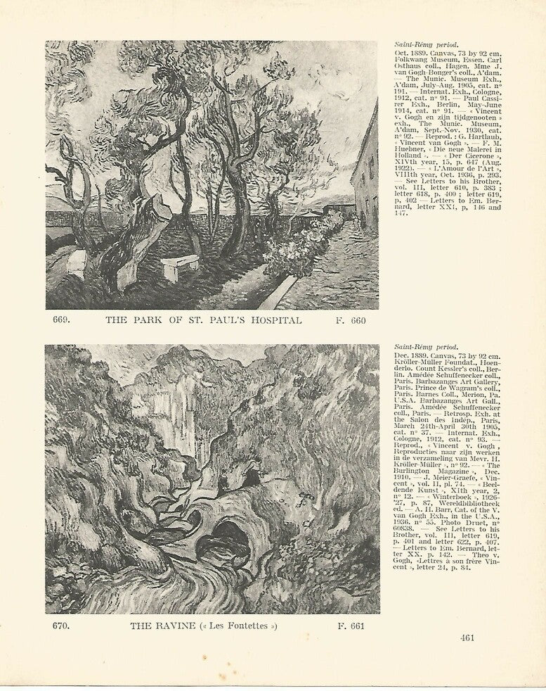 LAMINA 1429: VAN GOGH. The park of St. Pauls Hospital. The Ravine
