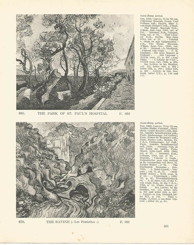 LAMINA 1429: VAN GOGH. The park of St. Pauls Hospital. The Ravine