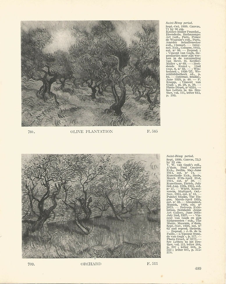 LAMINA 1443: VAN GOGH. Olive plantation. Orchard