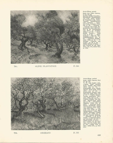 LAMINA 1443: VAN GOGH. Olive plantation. Orchard