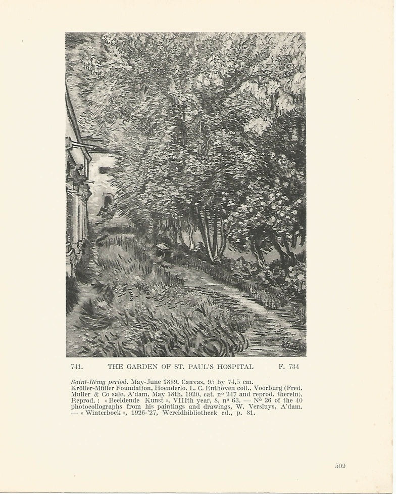 LAMINA 1453: VAN GOGH. The Garden of Saint Pauls Hospital