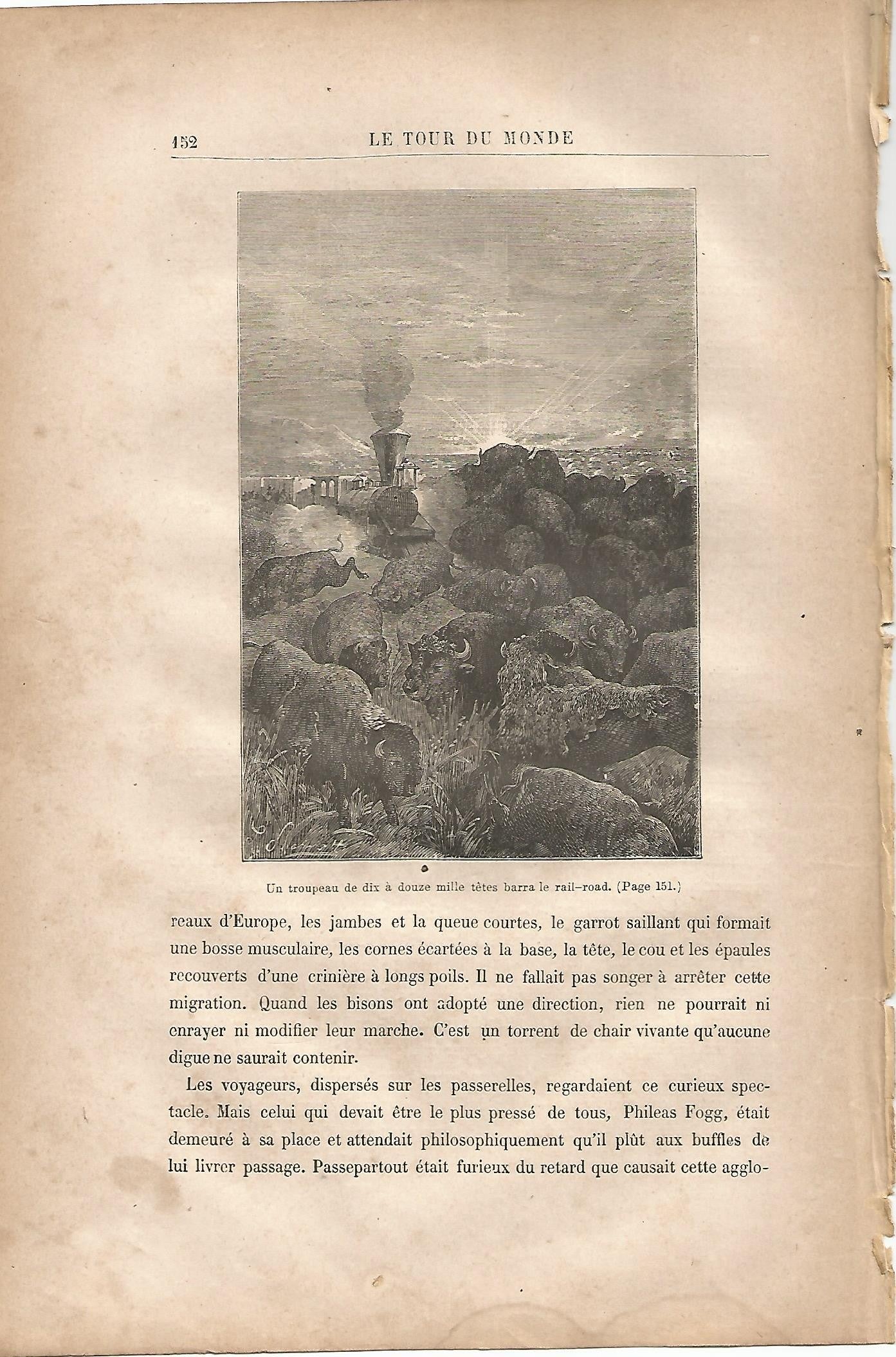LAMINA 1233: VERNE. Un tropeau de dix a douze mille tetes barra le rail-road