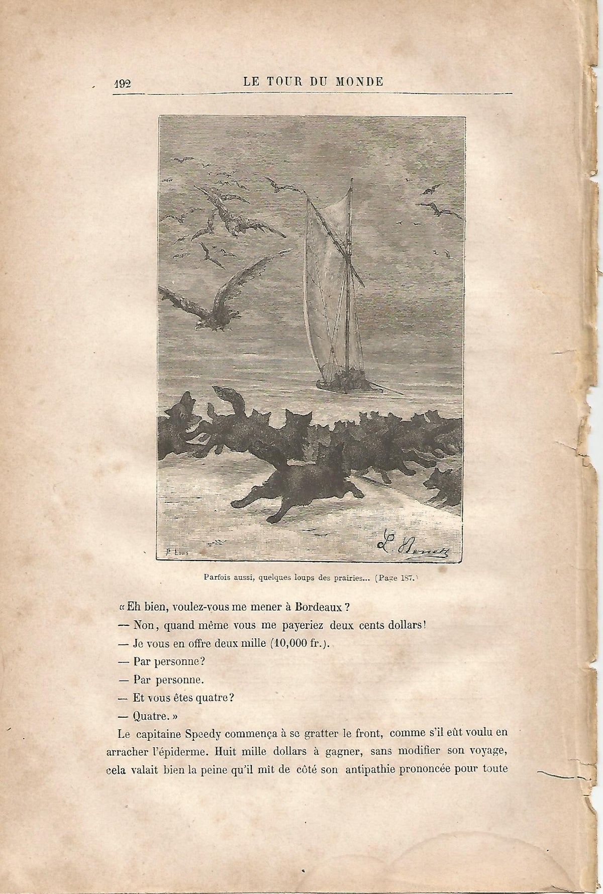 LAMINA 1243: VERNE. Parfois aussi quelques loups des prairies…