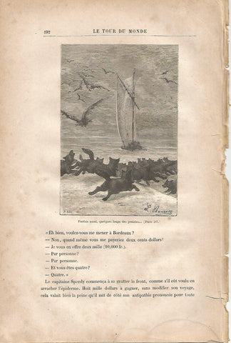LAMINA 1243: VERNE. Parfois aussi quelques loups des prairies…