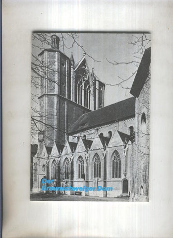 Der Braunschweliger Dom