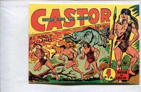 Castor de Manuel Gago, facsimil numero 16: El bosque en llamas