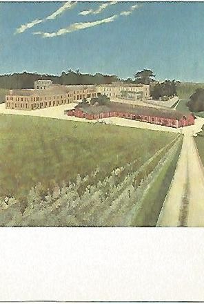 POSTAL 52978: CHATEAU LAFITE ROTHSCHILD. PAUILLAC
