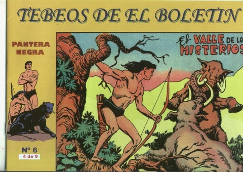 Pantera Negra numero 4: El valle de los misterios