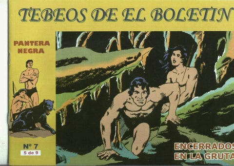 Pantera Negra numero 5: Encerrados en la gruta