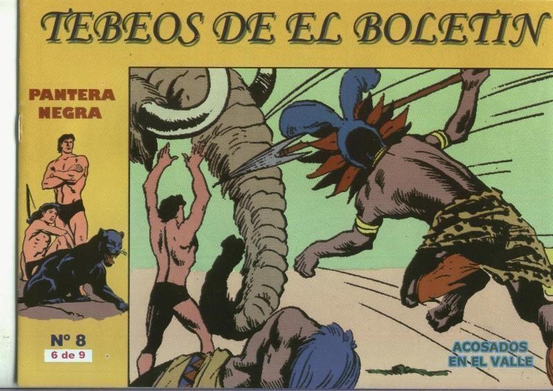 Pantera Negra numero 6; Acosados en el valle