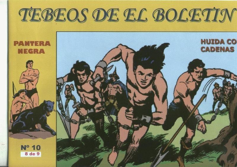 Pantera Negra numero 8: Huida con cadenas