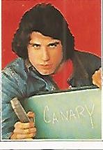CROMO 124 SUPERCROMOS DE FABULA: RESULTONES. No 145. John Travolta