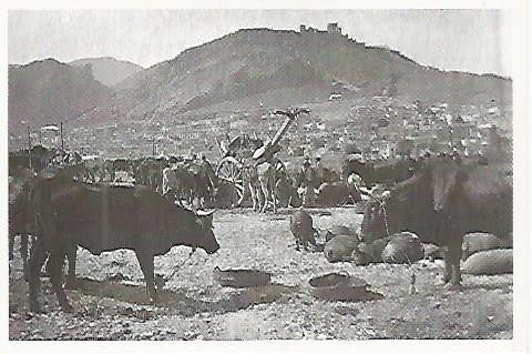 POSTAL 53311: COLECCION POSTALES PARA EL RECUERDO:JAEN. 1920. Feria de ganado