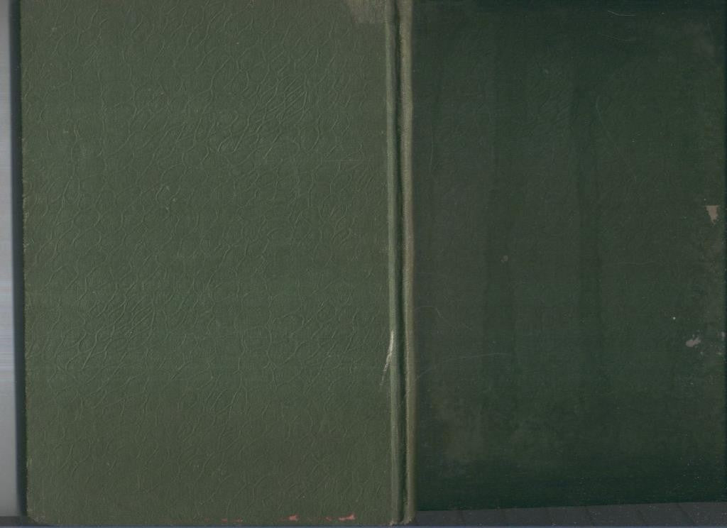 Biblioteca de la Juventud: El lobo negro (a reencuadernar)