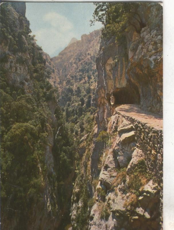 Postal 004913 : Rivera del Cares y Camino a Cain en los picos de europa