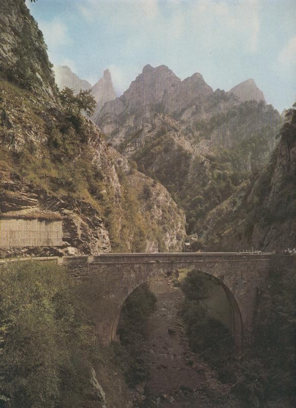 Picos de europa, lamina numerada 53
