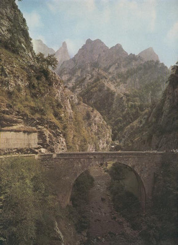 Picos de europa, lamina numerada 53