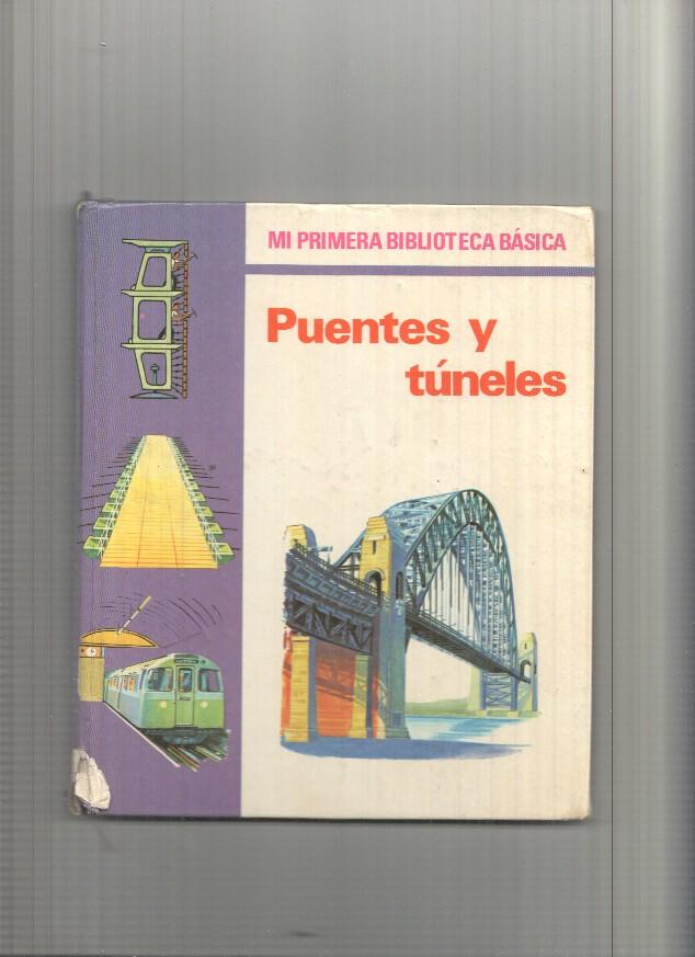 Puentes y Tuneles