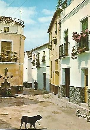 Postal 53546: COIN. Plaza Luna