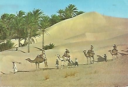 Postal 53590: TUNEZ. Caravana del Sahara
