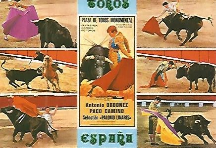 Postal 53608: Toros
