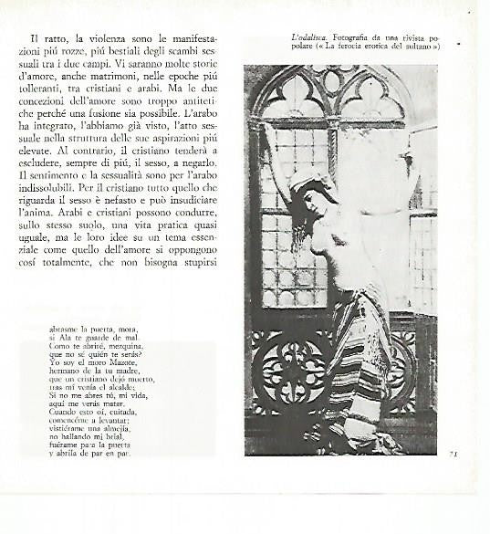 LAMINA 1716: La odalisca. Fotografia de una revista popular