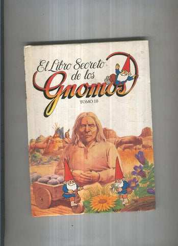 El libro secreto de los Gnomos Tomo 10