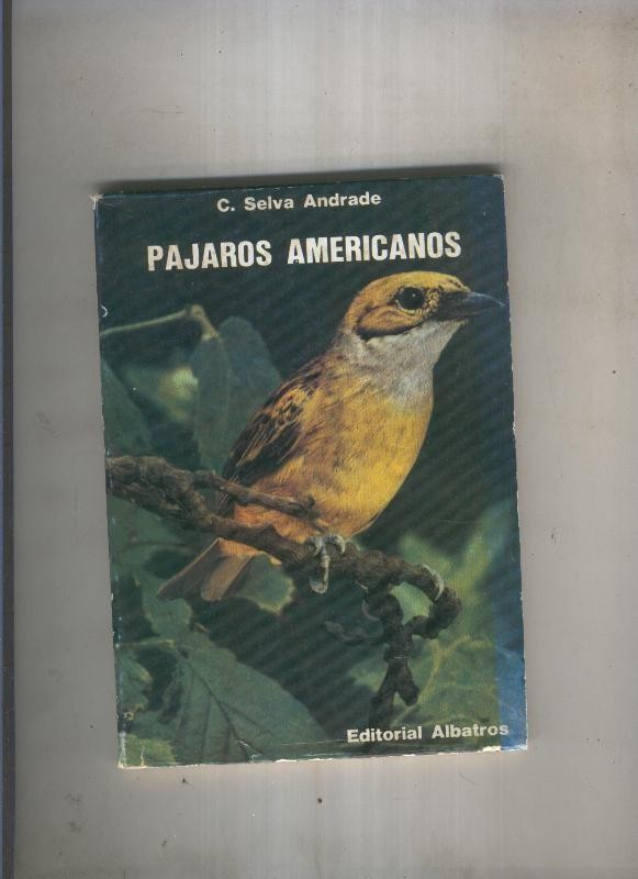 Pajaros Americanos