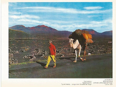 LAMINA 1706: LANZAROTE. Estampa tipica