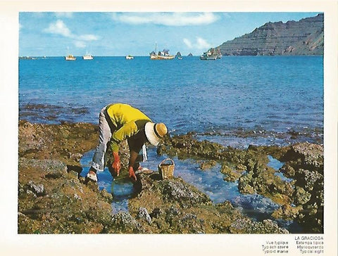 LAMINA 1711: LANZAROTE. La Graciosa
