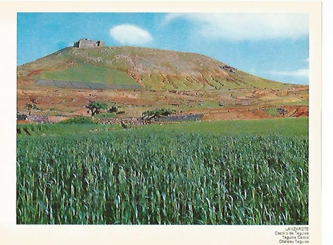 LAMINA 1721: LANZAROTE. Castillo de Teguise