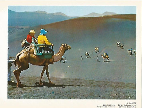 LAMINA 1723: LANZAROTE. Caravana de camellos